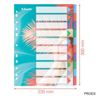 Przekładki Colour Breeze PP A4, 10 przekładek Esselte 628500