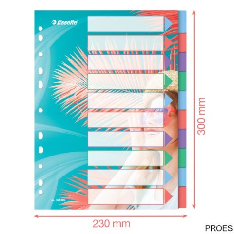 Przekładki Colour Breeze PP A4, 10 przekładek Esselte 628500