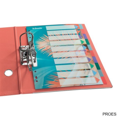 Przekładki Colour Breeze PP A4, 10 przekładek Esselte 628500