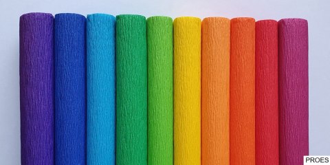 Bibuła marszczona Creatinio 50x200 mix tęczowy komplet 10 sztuk 400153931 TOP-2000 Bibuła marszczona Creatinio 50x200 mix tęczowy komplet 10 sztuk 400153931 TOP-2000