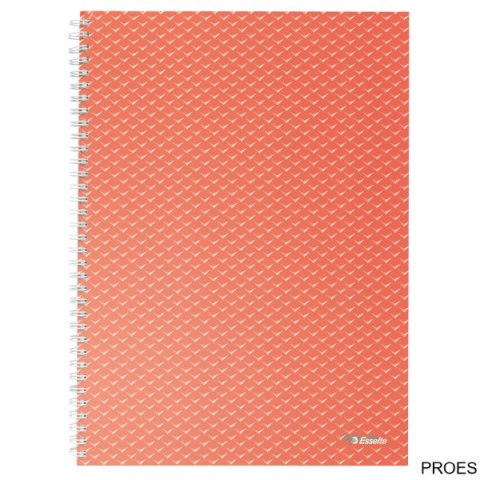 Kołonotatnik ColourBreeze A4, w kratkę, koralowy Esselte 628478 Kołonotatnik ColourBreeze A4, w kratkę, koralowy Esselte 628478