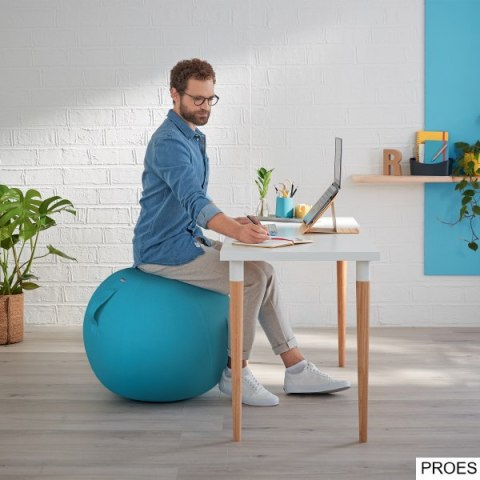 Piłka do siedzenia Leitz Ergo Cosy, niebieska 52790061 Piłka do siedzenia Leitz Ergo Cosy, niebieska 52790061