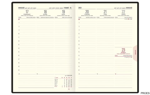 Kalendarz A-5 BEST CLASSIC książkowy (C3), 22 - złoty linea/czarny 2023 TELEGRAPH
