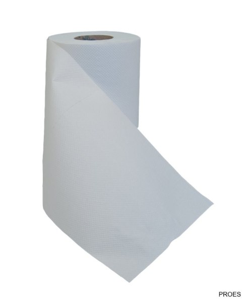 Ręczniki w roli KATRIN PLUS S2 2634/43400 super biały 60m