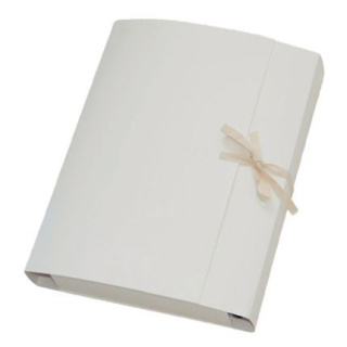 Teczka arch.wiazana 240g 320x250x50 82022