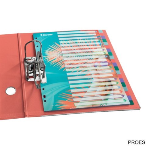 Przekładki ColourBreeze PP A4, 20 przekładek Esselte 628502 Przekładki ColourBreeze PP A4, 20 przekładek Esselte 628502