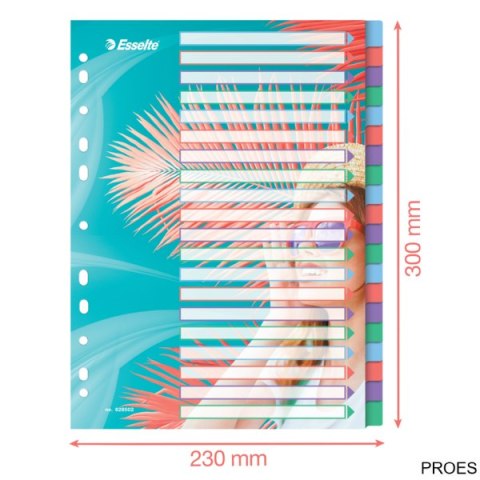 Przekładki ColourBreeze PP A4, 20 przekładek Esselte 628502 Przekładki ColourBreeze PP A4, 20 przekładek Esselte 628502