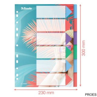 Przekładki ColourBreeze PP A4, 6 przekładek Esselte 628499