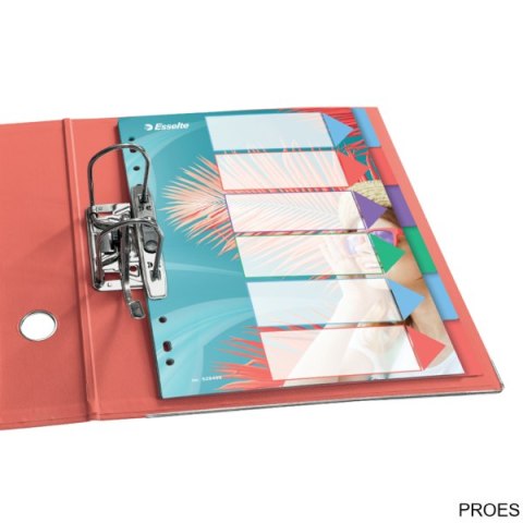Przekładki ColourBreeze PP A4, 6 przekładek Esselte 628499 Przekładki ColourBreeze PP A4, 6 przekładek Esselte 628499