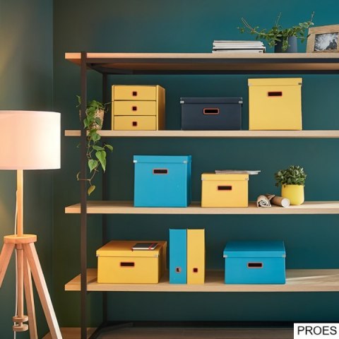 Pojemnik na czasopisma Leitz Click & Store Cosy, niebieski 53560061 Pojemnik na czasopisma Leitz Click & Store Cosy, niebieski 53560061