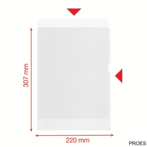 Folder groszkowy Recycled Premium PP 100 mic. A4 627496 op.100 szt.