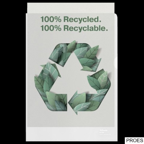 Folder groszkowy Recycled Premium PP 100 mic. A4 627496 op.100 szt.