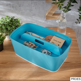 Mały organizer do przechowywania Leitz MyBox Cosy, z uchwytem 52660061