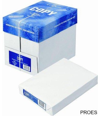 Papier xero A4 80g SYMBIO COPY CIE146 karton 5 ryz