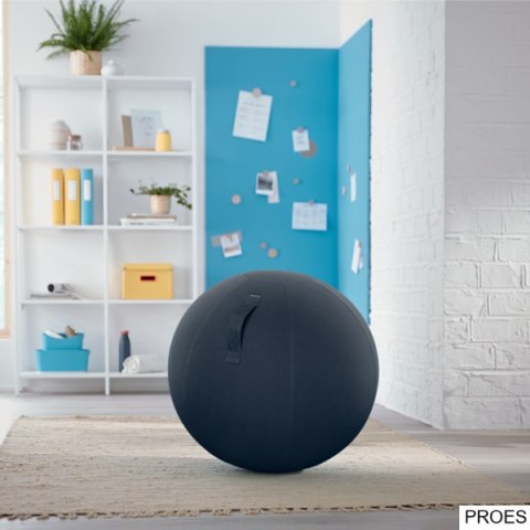 Piłka do siedzenia Leitz Ergo Cosy, szara 52790089