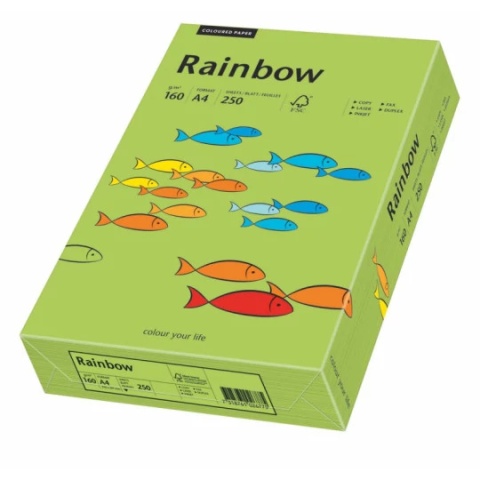 Papier A4 160g zielony R76 RAINBOW 88042659