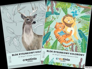 BLOK RYSUNKOWY TOP 2000CREATINIO A4 10K 80G KOLOR 400176665