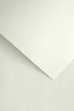 Karton ozdobny A4 LAID kremowy 120g (50) ARGO 206002 GALERIA PAPIERU Karton ozdobny A4 LAID kremowy 120g (50) ARGO 206002 GALERIA PAPIERU