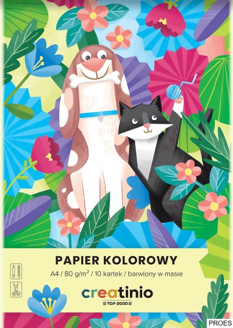 PAPIER KOLOROWY TOP 2000 CREATINIO A3 10K 80G 400176685