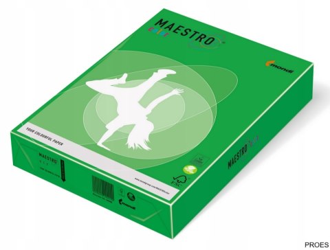 Papier A4 ciemno zielony DG47 MAESTRO COLOR Papier A4 ciemno zielony DG47 MAESTRO COLOR
