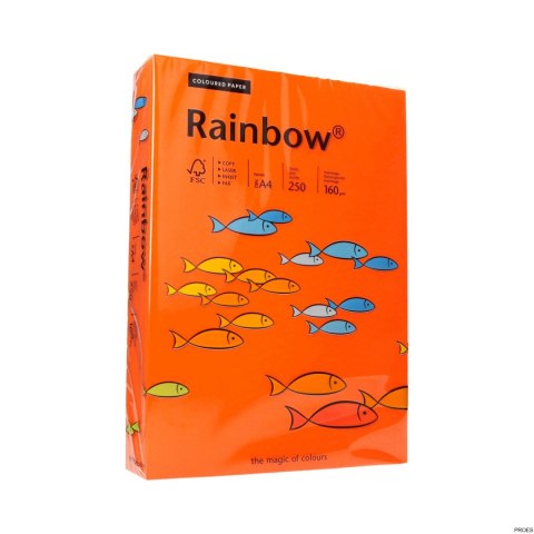 Papier xero A4 160g c.pomarań.R26 RAINBOW 88042461 Papier xero A4 160g c.pomarań.R26 RAINBOW 88042461
