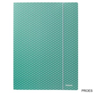 Teczka kartonowa z gumką Colour"Breeze, A4, zielona 628493
