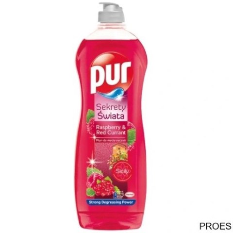 PUR Płyn do mycia naczyń 750 ml Malina i Porzeczka 57684 PUR Płyn do mycia naczyń 750 ml Malina i Porzeczka 57684