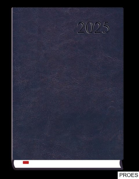 Kalendarz Asystent ALASKA A5 2025 - granat Michalczyk i Prokop T-237A-G