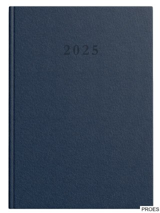 Kalendarz Top 2000 Standard 2025 A4 Granat 400189201