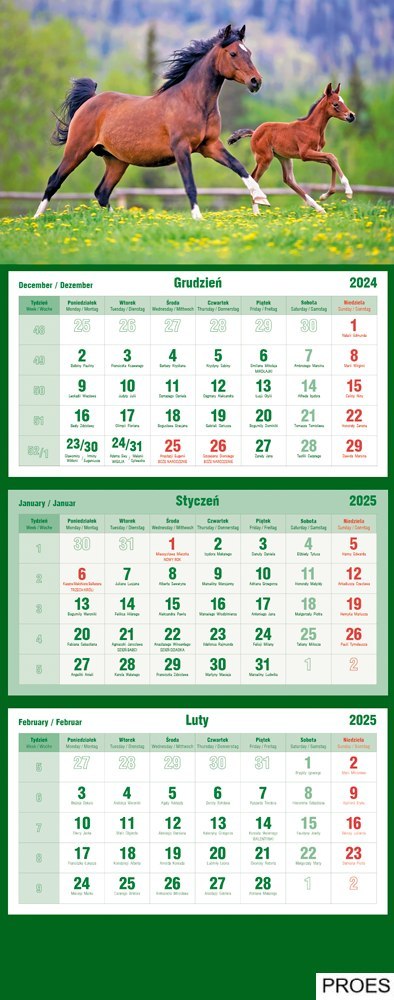 Kalendarz trójdzielny 2025 Konie Michalczyk i Prokop T-105T-11