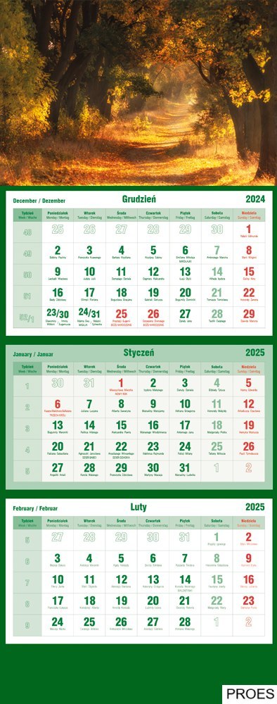 Kalendarz trójdzielny 2025 Las Michalczyk i Prokop T-105T-03