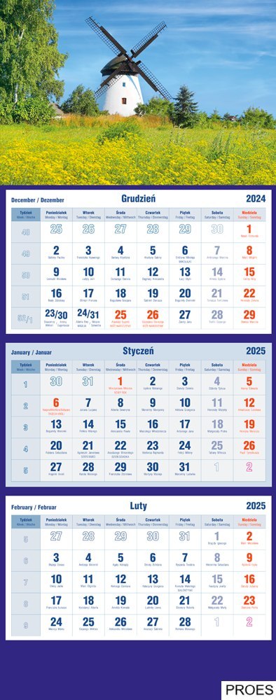 Kalendarz trójdzielny 2025 Wiatrak Michalczyk i Prokop T-105T-07