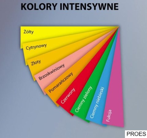 Papier xero A4 160g pomarańcz 1765 EMERSON 250ark TROPHEE xca41765 Papier xero A4 160g pomarańcz 1765 EMERSON 250ark TROPHEE xca41765