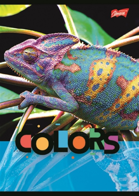 Zeszyt A5 32k krata laminowany EXOTIC COLORS Zeszyt A5 32k krata laminowany EXOTIC COLORS