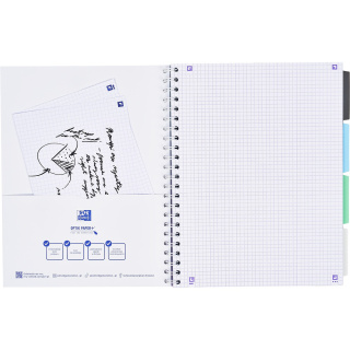 Kołozeszyt Oxford pjbk 2spi B5 80k k5x5 pastel, 400182995 HAMELIN