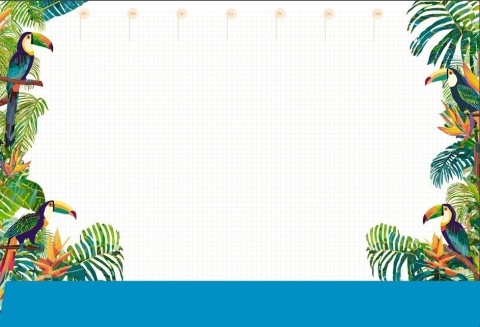 Podkład na biurko-Notes B3-TROPIC, SP-B3-06 Michalczyk i Prokop