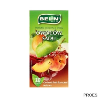 Herbata BELIN owoce sadu 20t owocowa