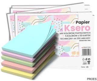 Papier xero A4 mix kolorów 160g (250 arkuszy) 5 kolorów pastelowych
