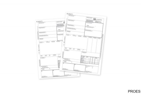 DD-1 Dowód dostawy A5 80k. wielokopia EMERSON aedd-a5wk058