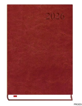 Kalendarz Asystent ALASKA A5 2026 - bordo Michalczyk i Prokop T-237A-B