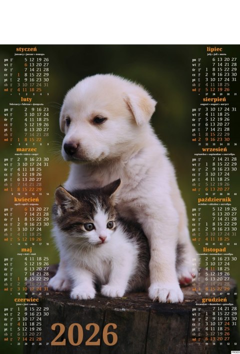 Kalendarz Plakatowy B-1, P18 - PRZYJACIELE 2026 Kalendarz Plakatowy B-1, P18 - PRZYJACIELE 2026