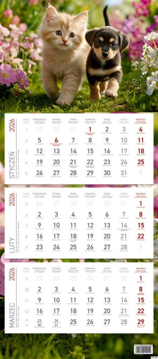 Kalendarz trójdzielny ekonomiczny KS045B PRZYJACIELE 2026 WOKÓŁ NAS