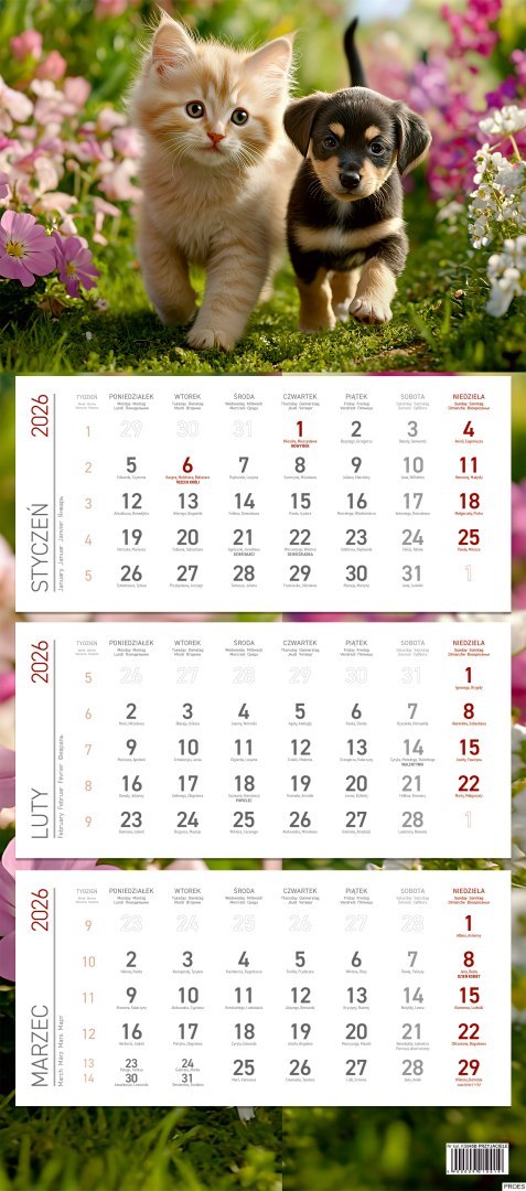 Kalendarz trójdzielny ekonomiczny KS045B PRZYJACIELE 2026 WOKÓŁ NAS