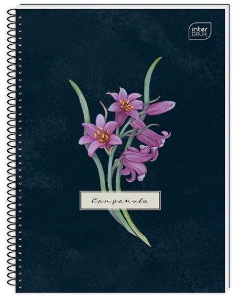 Kołozeszyt A5 100 kartek, kratka z marginesem 70g Hybrid Fiori INTERDRUK