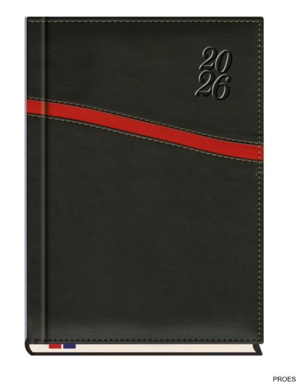 Terminarz Asesor B5 2026 Michalczyk i Prokop T-249K-01