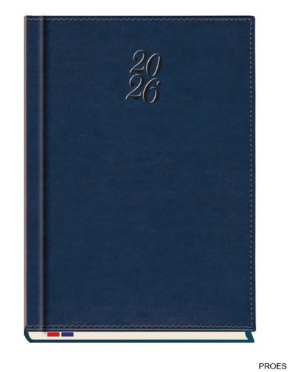 Terminarz Asesor B5 2026 Michalczyk i Prokop T-249N-57