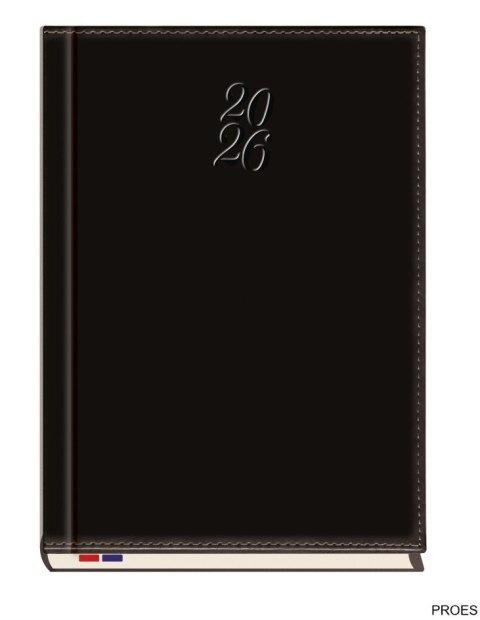 Terminarz Asesor B5 2026 Michalczyk i Prokop T-249N-58 Terminarz Asesor B5 2026 Michalczyk i Prokop T-249N-58