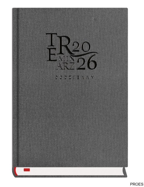 Terminarz Codzienny A5 2026 -metalik Michalczyk i Prokop T-255T-2M