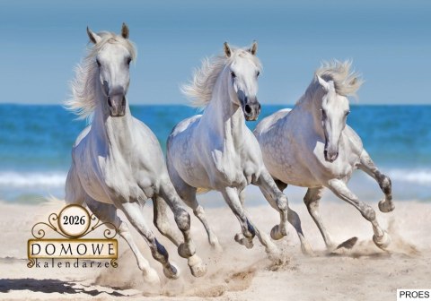 Terminarz Domowy 200x218mm 2026 - Konie Michalczyk i Prokop TW-10-6