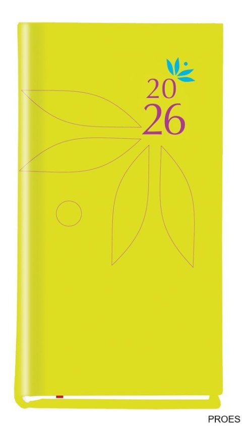 Terminarz Koliber 75x130mm 2026 pistacjowy Michalczyk i Prokop T-320-08